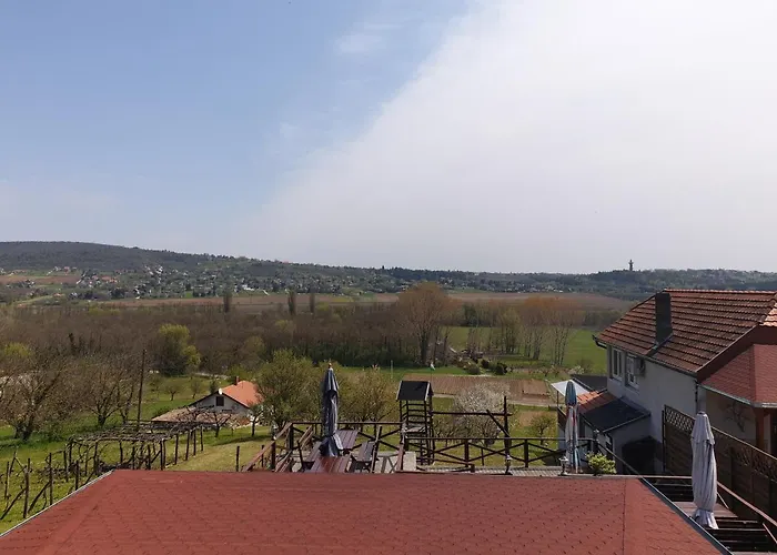 Дом отдыха Vilmos Pince Fogado